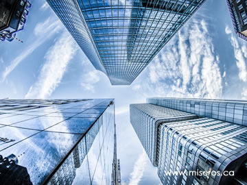Private Company & Professional Corporation Services Nick Miseros